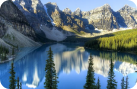 Luxury Tiny Beach Cabin